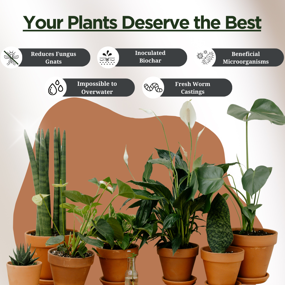 Premium Houseplant Potting Mix